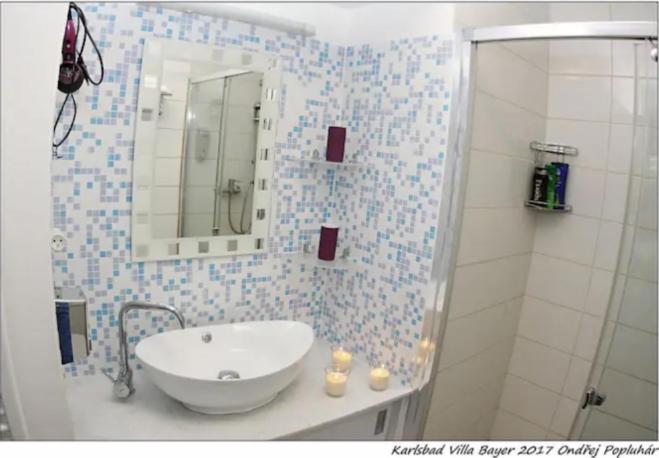 Apartman Vila Bayer Karlowe Wary Zewnętrze zdjęcie