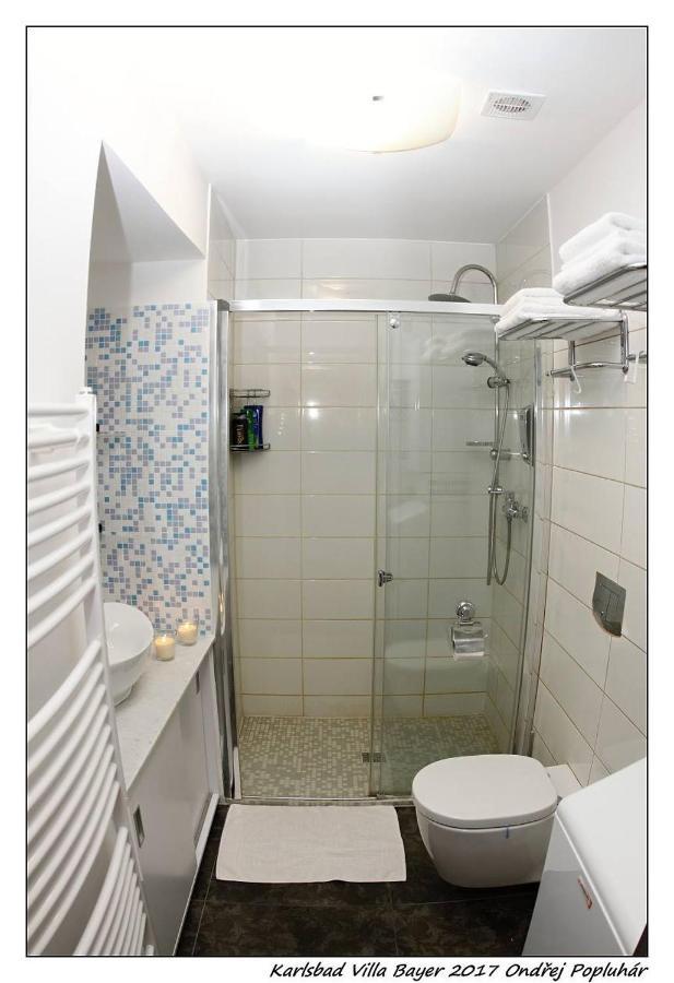 Apartman Vila Bayer Karlowe Wary Zewnętrze zdjęcie