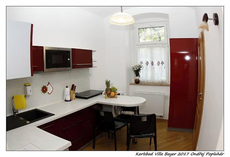 Apartman Vila Bayer Karlowe Wary Zewnętrze zdjęcie