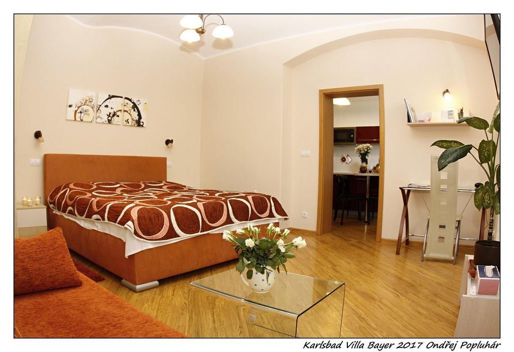 Apartman Vila Bayer Karlowe Wary Zewnętrze zdjęcie